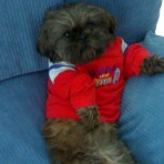CANELA